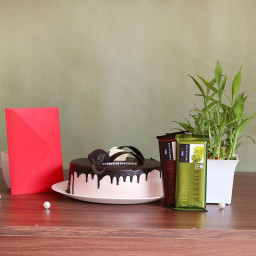 Felicitating Deed: A Gift Combo of 0.5 Kg Chocolate Cake, 2 Temptations, Lucky Bamboo, and One Greeting Card Felicitating Deed: A Gift Combo of 0.5 Kg Chocolate Cake, 2 Temptations, Lucky Bamboo, and One Greeting Card