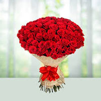 New Year Flower