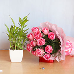 Flowers with Plants