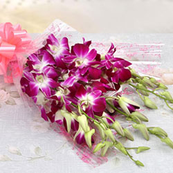 Orchids